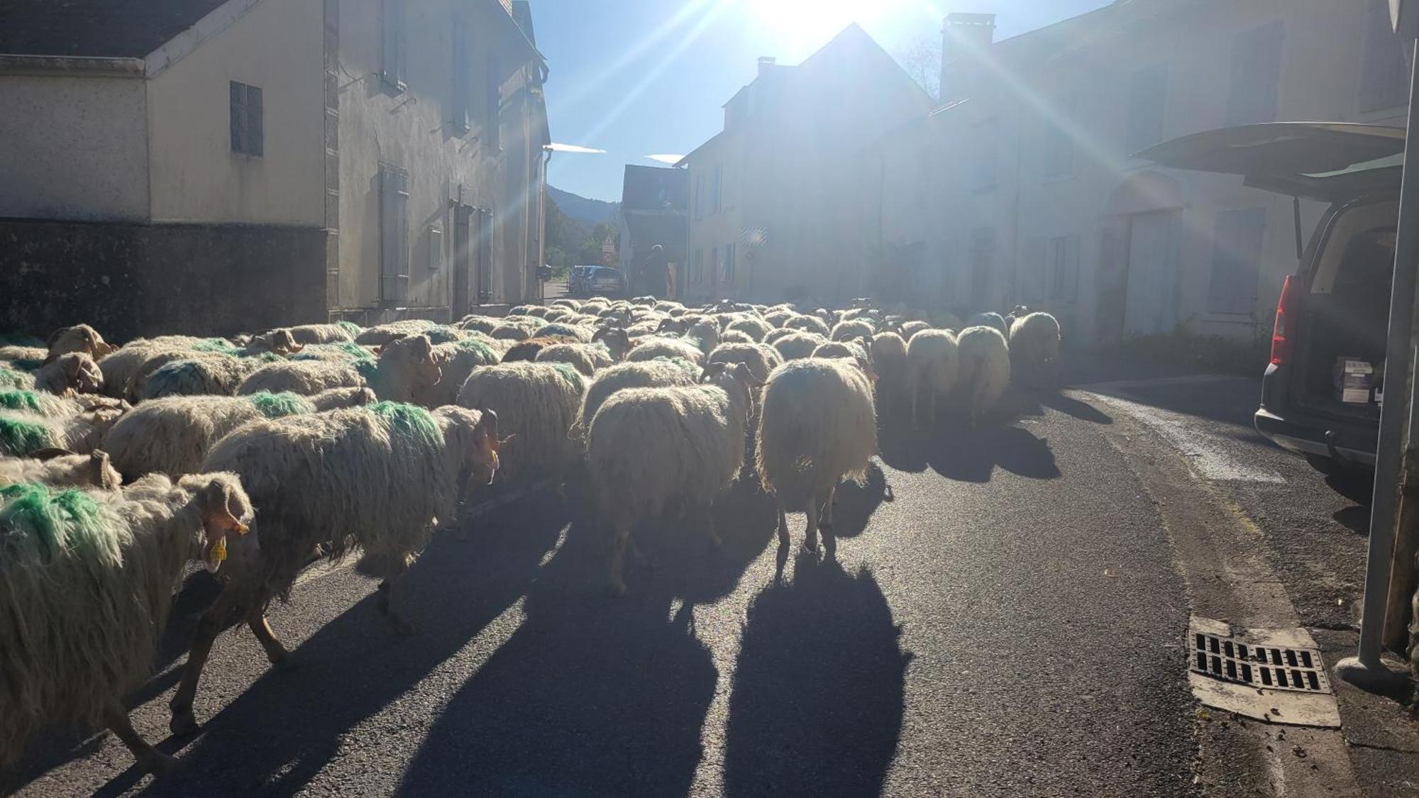 Maison De Campagne Hébergement de vacances Issor