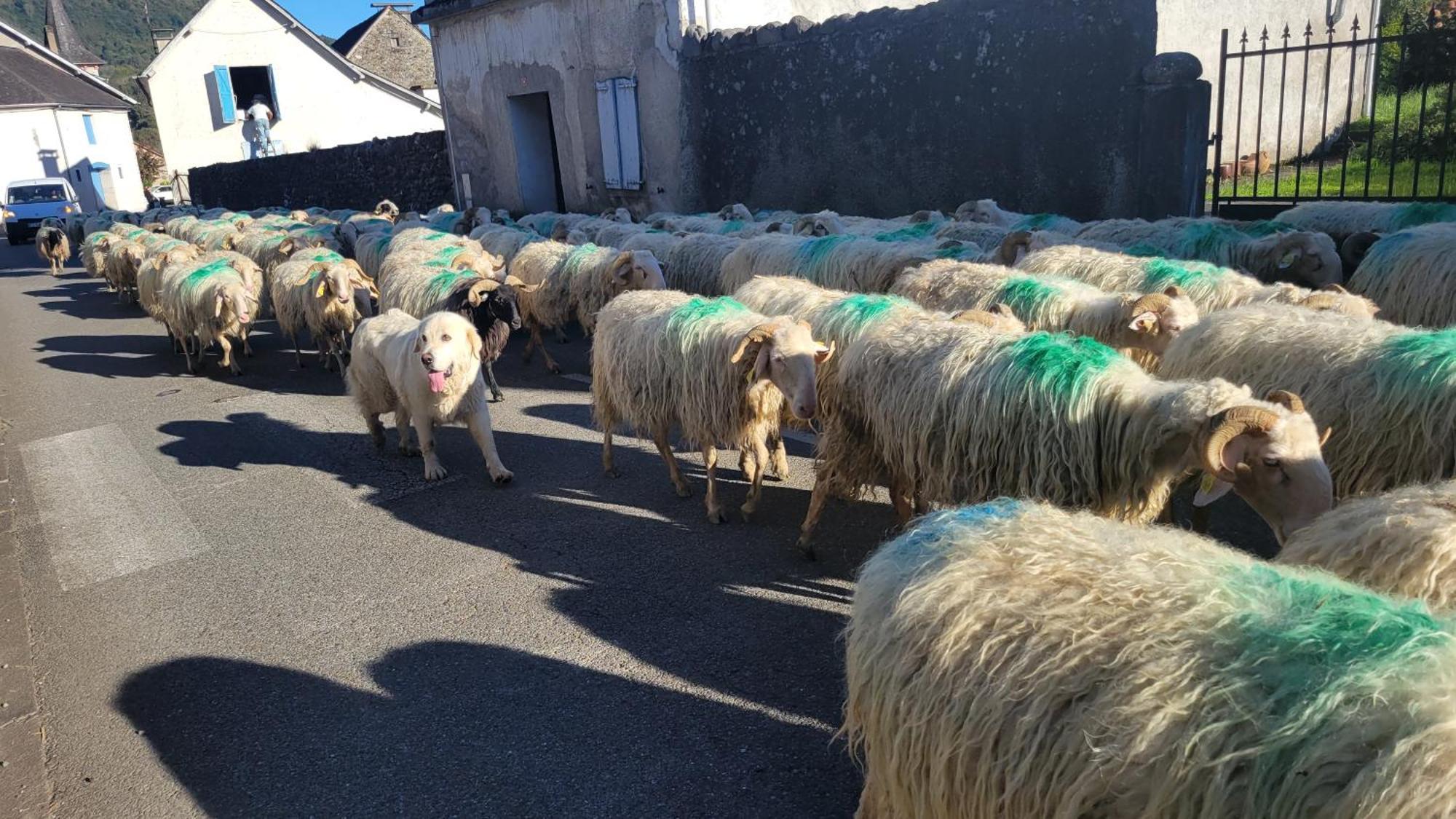 Hébergement de vacances Maison De Campagne Issor